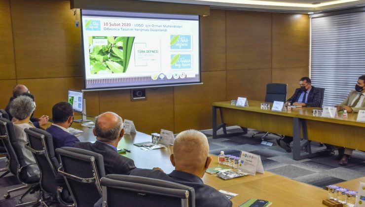 Karacabey’in en önemli değerlerinden defne dünyaya açılıyor