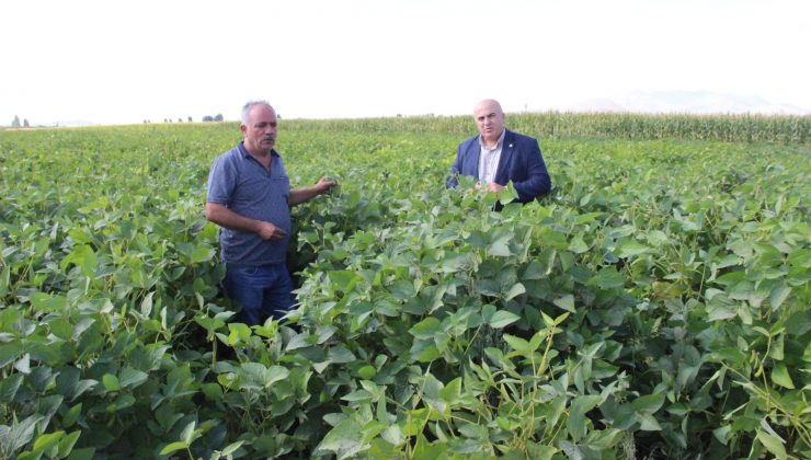 Karaman’da ilk defa bir besici tarafından silajlık soya ekildi