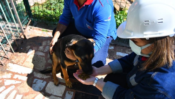 KARDEMİR’den patilere uzanan yardım