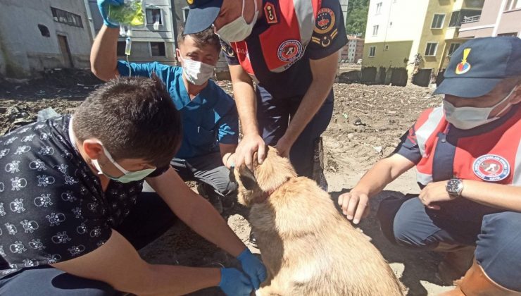 KASMİB, afet bölgesinde hizmetlerine devam ediyor