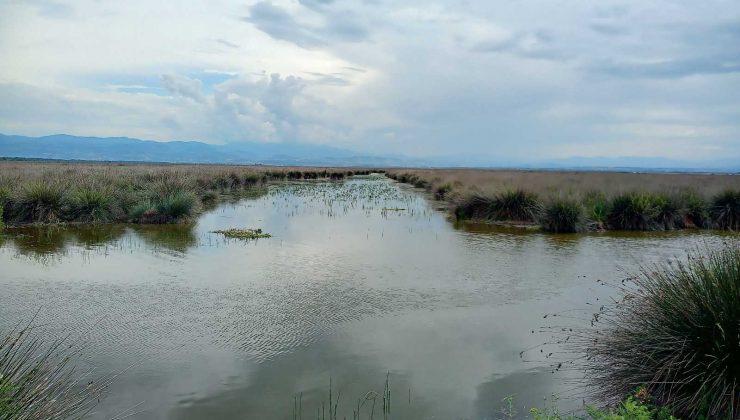 Kaymakamdan muhtarlara ’sulama suyu’ uyarısı