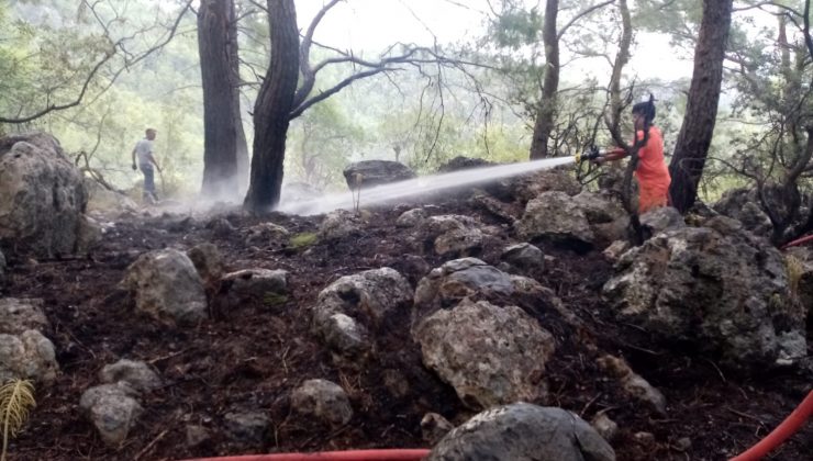 Kemer’de çıkan orman yangını büyümeden söndürüldü