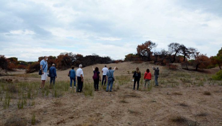 Kent Konseyi’nden Lara Kumul Ormanı’nın koruma statüsünün değiştirilmesi talebi