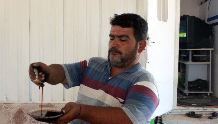 Kilis’te gün pekmezi üretimi başladı