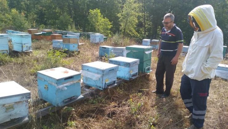 Kırklareli’nde meşe balı üreticileri bilgilendirildi