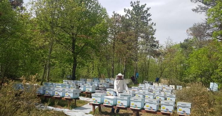 Kırklareli’nde meşe balı üreticileri denetlendi