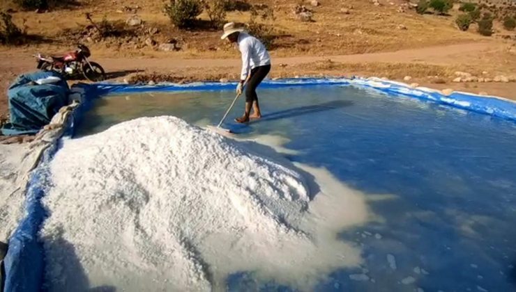 Köylüler dededen kalma geleneği devam ettiriyor, gençlerin geçim kaynağı oldu