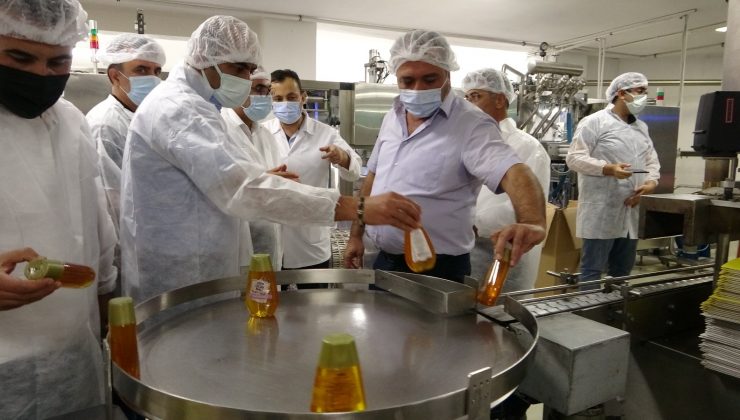 Kozan’da arıcılar çam balı üretimi için harekete geçti