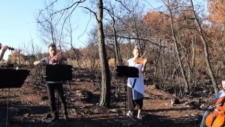 Küle dönen ormanda keman konseri