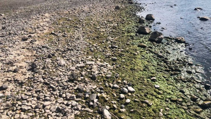 Kuraklık Çıldır Gölü’nü de vurdu