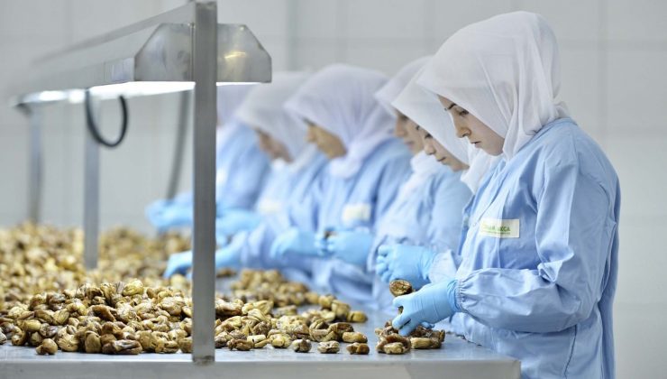 “Kuru incirin geleceği için sektör birlik ve beraberlik içinde olmalı”