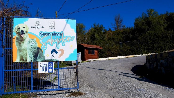 Kuşadası Belediyesi, 9 ayda 2 bin 95 can dosta ev sahipliği yaptı