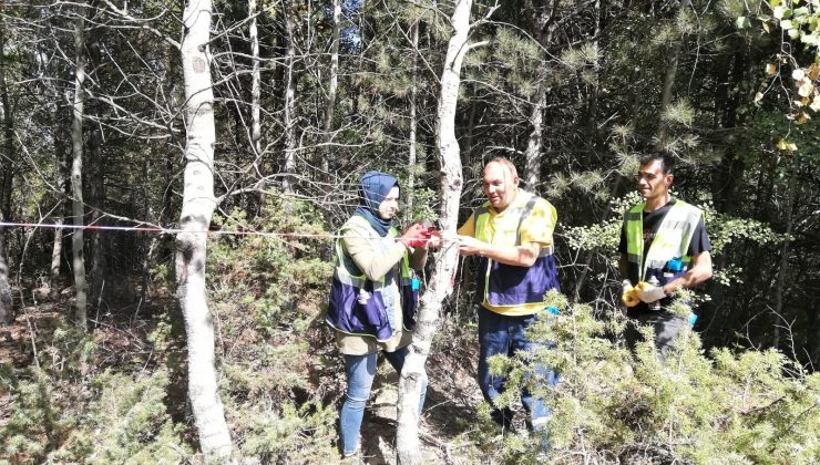 Kütahya’da ağaçlandırma ve bakım çalışması