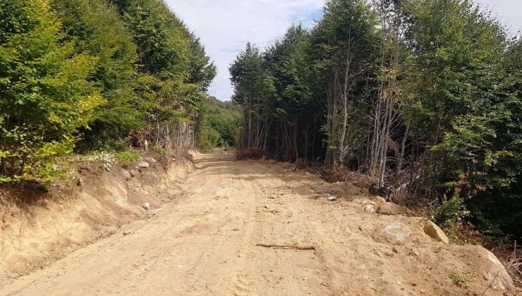 Kütahya’da yeni orman yolları açılıyor