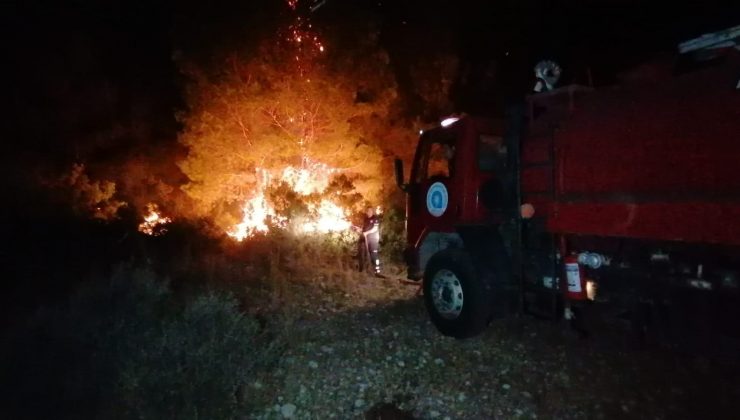 Manavgat’ta orman yangını