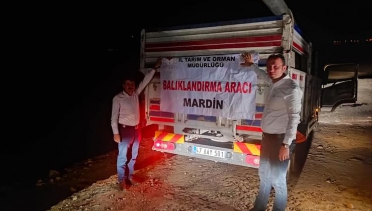 Mardin’de göletlere 918 bin yavru sazan balığı bırakıldı