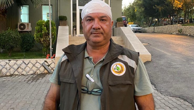 Orman görevlilerini darp ettiler