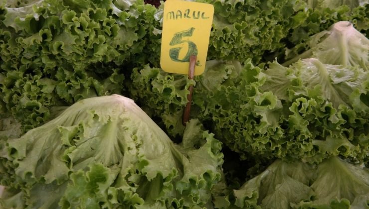 Marulun fiyatı  iki katına çıktı