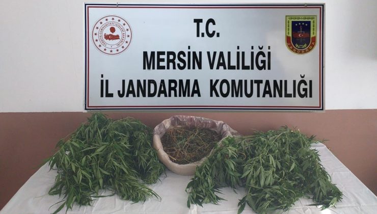 Mersin’de 1,5 kilo kubar esrar ele geçirildi