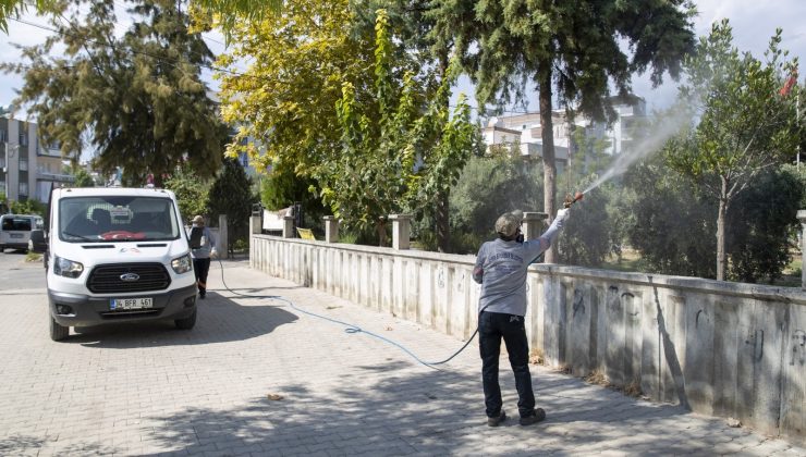 Mersin’de beyaz sinekle mücadele sürüyor