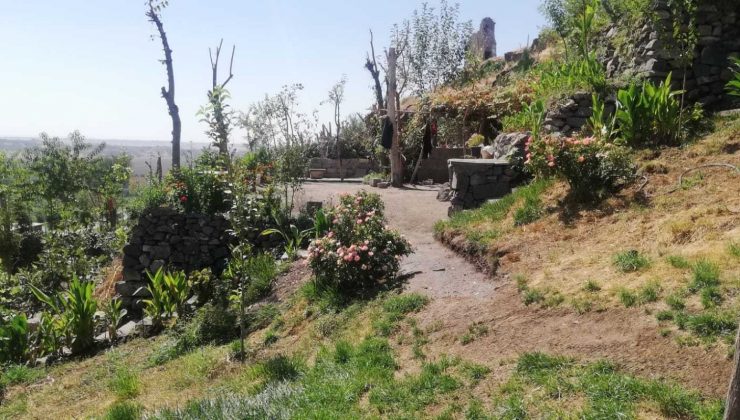 Millet Bahçesi’ndeki kaçak yapılar temizlendi