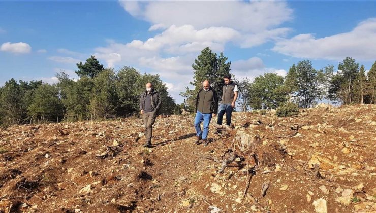 Müdür Keskin: “Ormanlarımızı yarınlara sağlıkla taşımak bizim en önemli görevimiz”