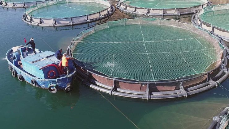 Muğla Ağustos ayında 67 milyon 618 bin TL ihracat yaptı