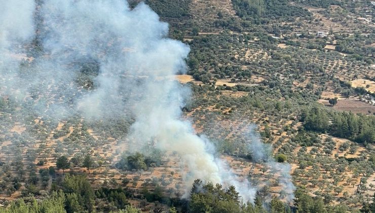 Muğla’da çıkan 10 yıldırım yangını büyümeden söndürüldü