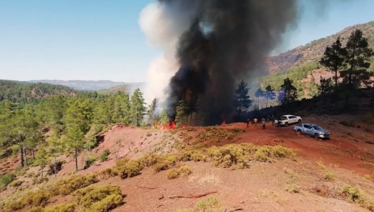 Muğla’da orman yangını