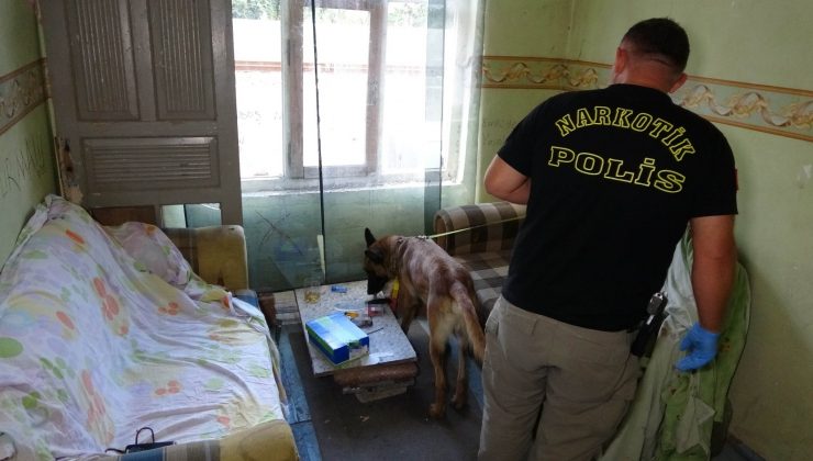 Narkotik köpeği uyuşturucuyu böyle buldu