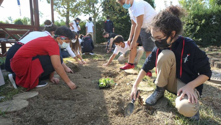 Nilüfer Belediyesi’nden okullara fide ve tohum desteği