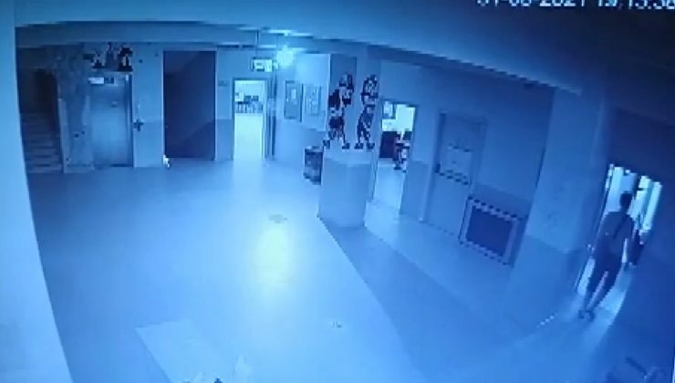 Okul fareleri kameraya yakalandı