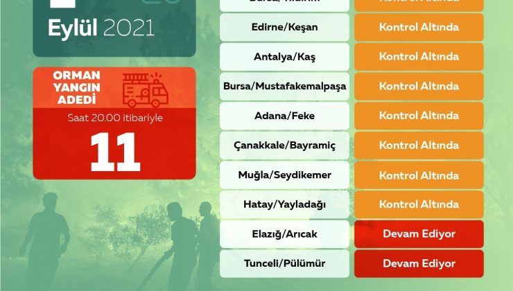 Orman Genel Müdürlüğü: “Bugün çıkan 11 yangının 9’unu kontrol altına aldık”