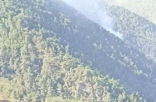 Ormana düşen yıldırım yangına neden oldu