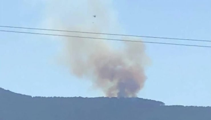 Ormanlık alanda başlayan yangın kontrol altına alındı