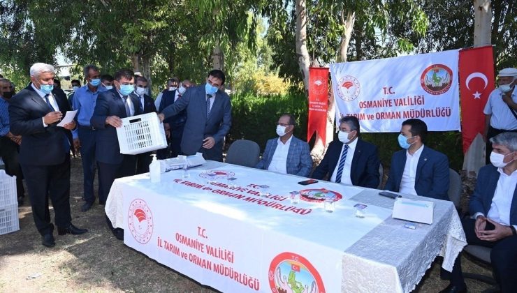 Osmaniye’de çiftçilere zeytin kasası dağıtıldı