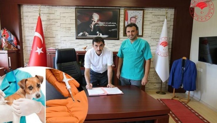 Osmaniye’de kedi, köpek ve gelinciklere mikroçip takılacak