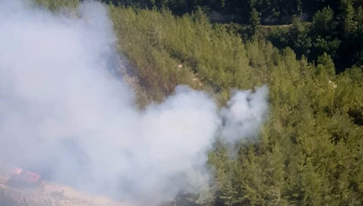 Osmaniye’deki orman yangını büyümeden söndürüldü