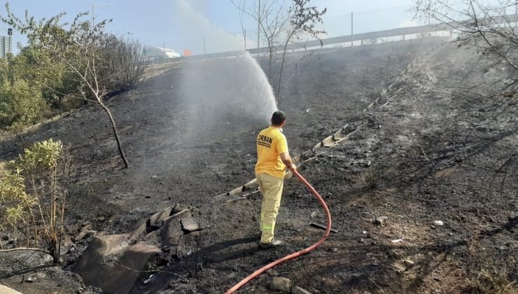 Otoyol kenarında çıkan örtü yangını büyümeden söndürüldü