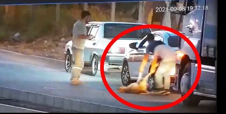 (ÖZEL) Aracıyla çarptığı köpeği ölüme böyle terk etti