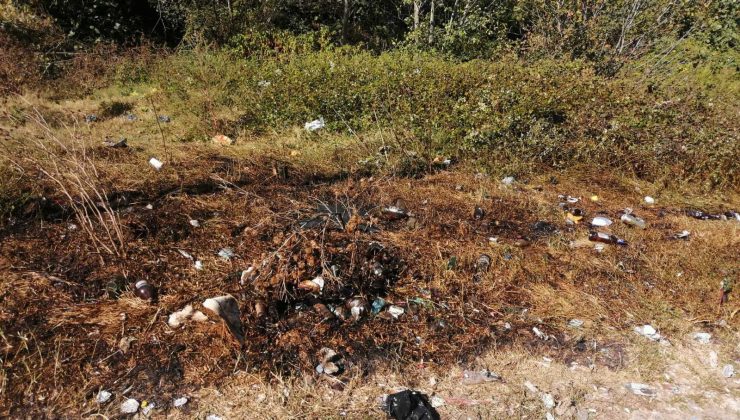 Kağıthane’de yeşil alanı yakan şahıs,  yakaladı