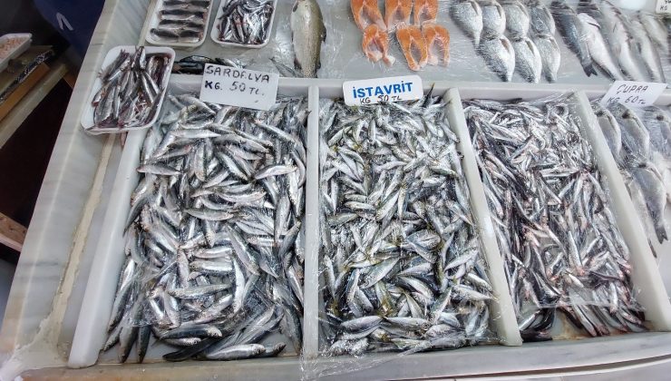 (Özel) Poyraz, balık fiyatlarını allak bulak etti