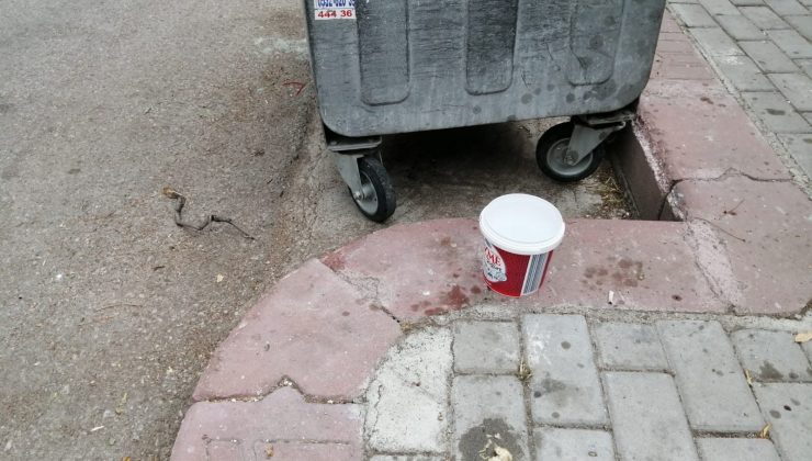 (Özel) Sokak hayvanları için konulan su ve mamaları döken komşusu çıktı