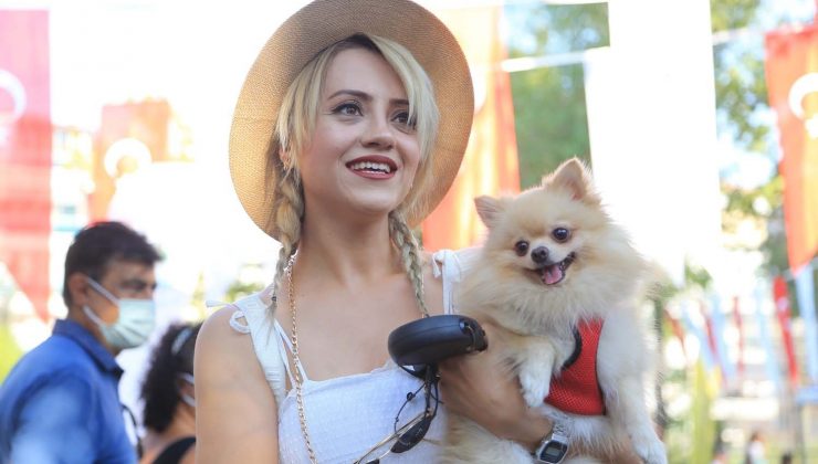 Pamukkale’de hayvan dostları Patifest’te buluştu