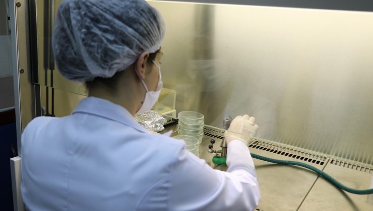 Profesör ve araştırma görevlisi günlerce çalışıp finale kaldı