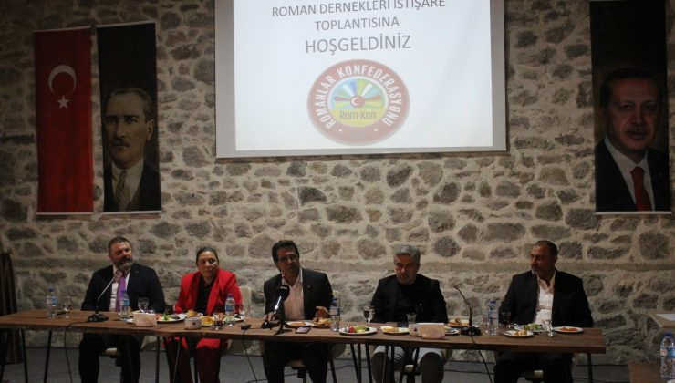 Romanlar Ankara’da, eğitim ve istihdam konularını masaya taşıdı