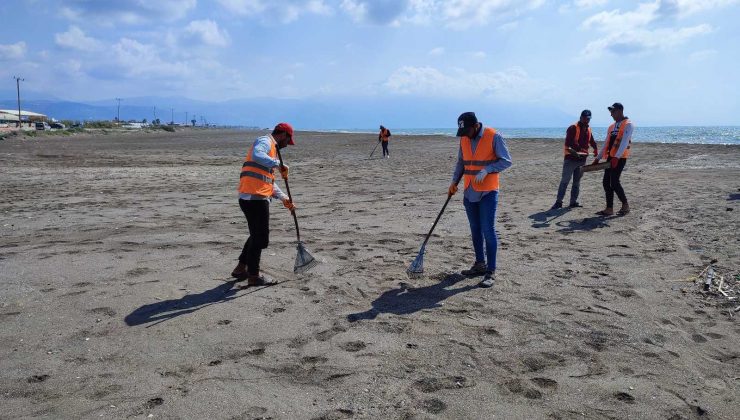Samandağ sahilinde petrol temizliği 26 gündür sürüyor