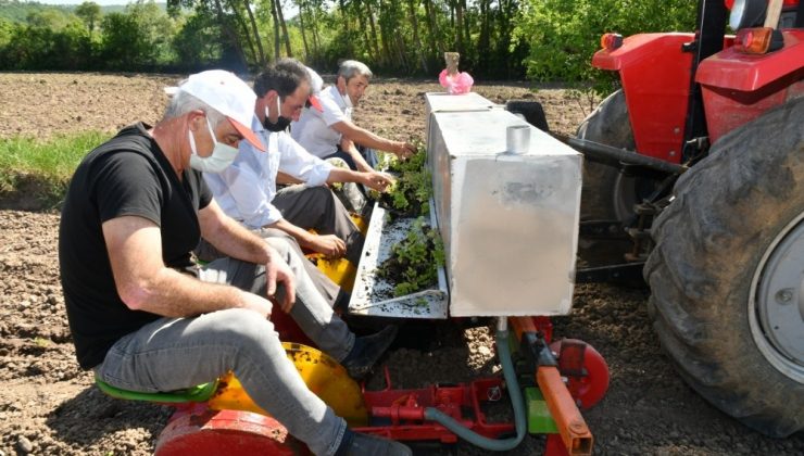 Samsun’da 1500 çiftçiye 7,5 milyon liralık destek