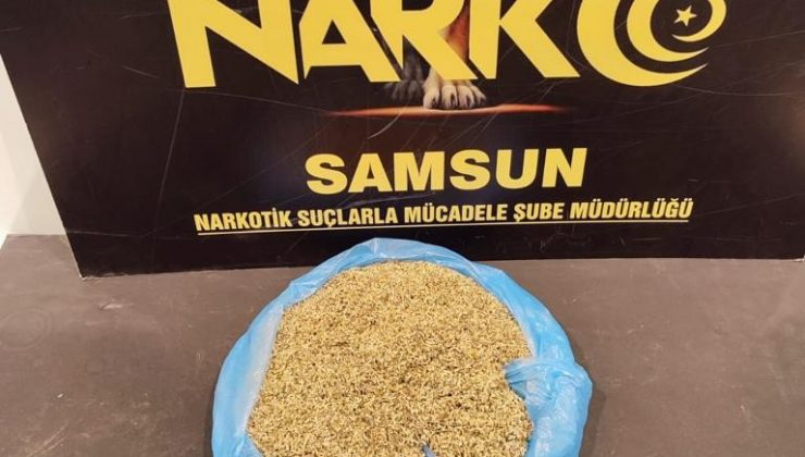 Samsun’da evinde 477,69 gram bonzai ele geçen bir kişiye gözaltı