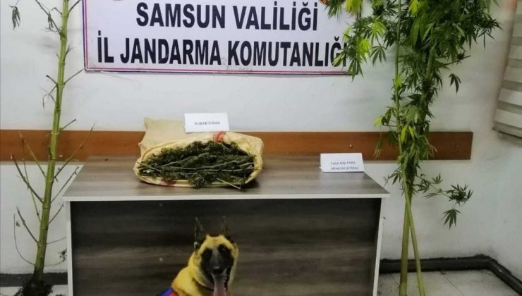 Samsun’da jandarma 2 kilo uyuşturucu madde ele geçirdi